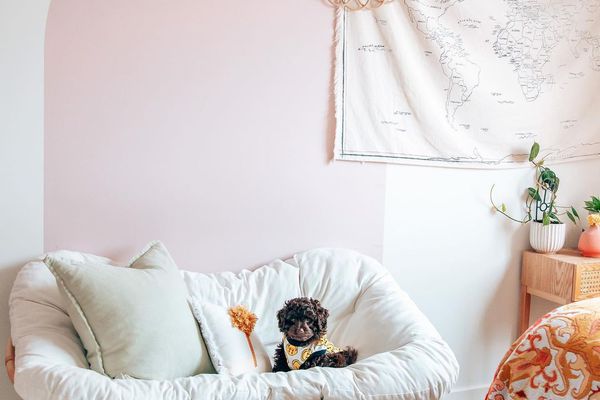 可爱的小狗坐在波西米亚躺椅上。