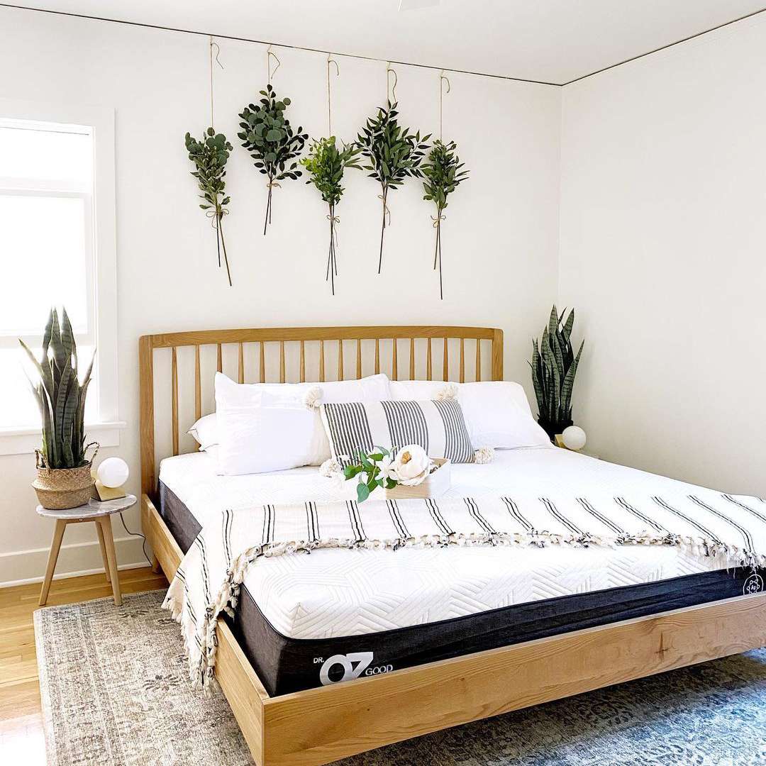 卧室与绿色植物