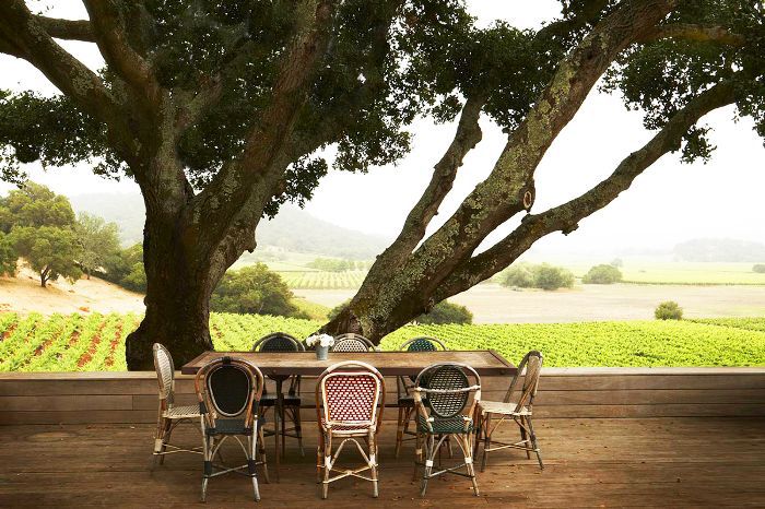 在纳帕的事情-阳光食品”class=