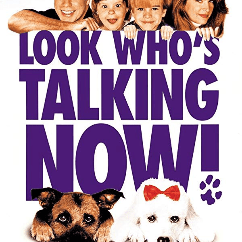 现在看起来谁在说话