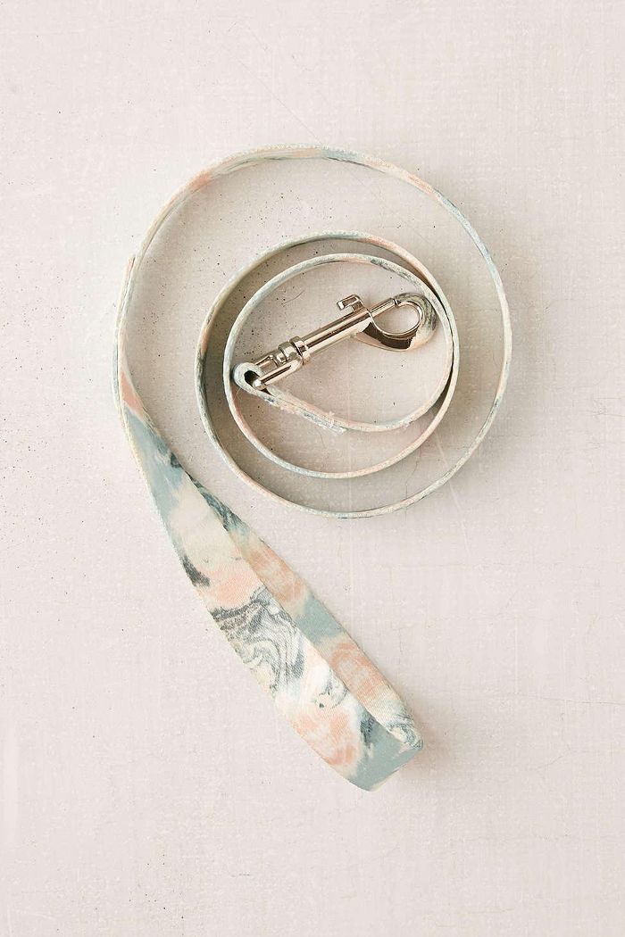 杰奎琳·马尔多纳多对于拒绝大理石雾宠物牵引带10个最漂亮的狗品种