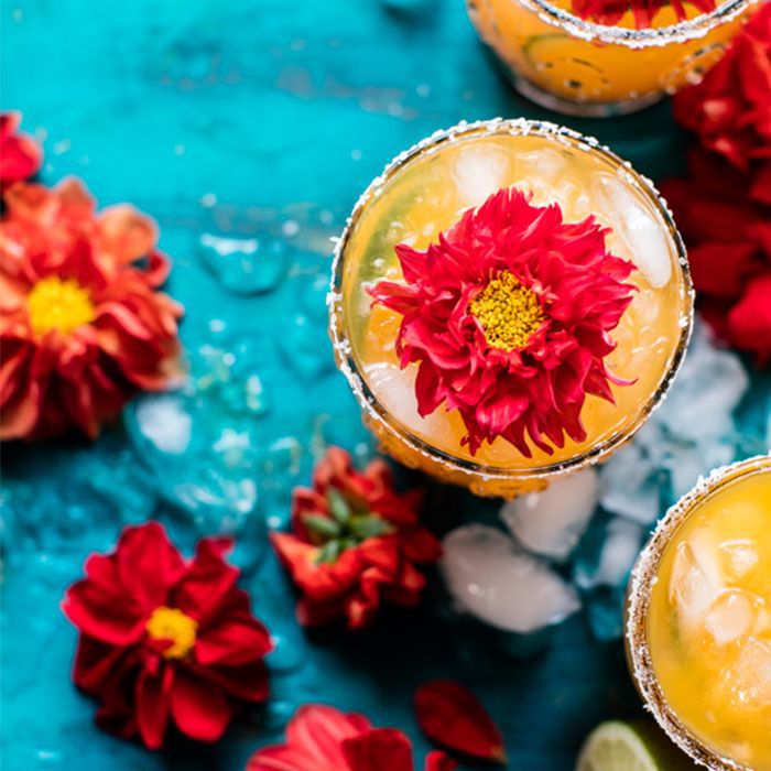 梅斯卡尔酒饮料