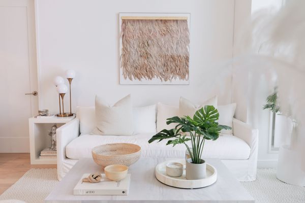 白色沙发在客厅旁边的怪物植物。