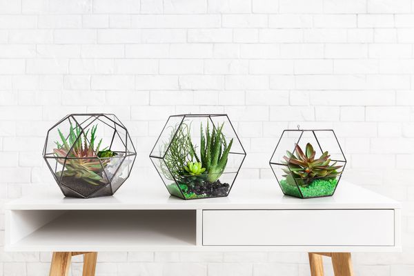 盖蒂图片社/ PROSTOCK-STUDIO