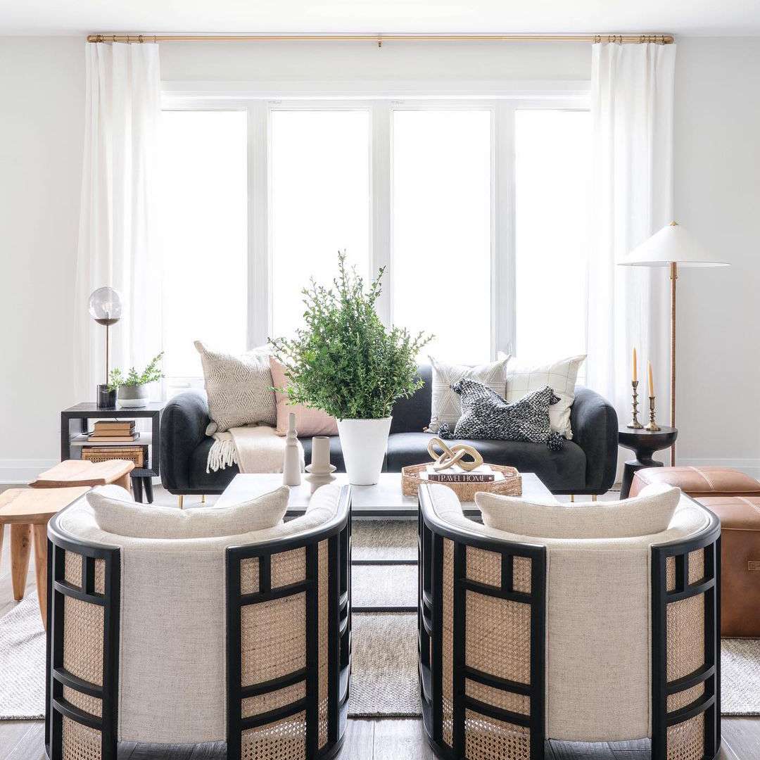 带黑色和白色的客厅