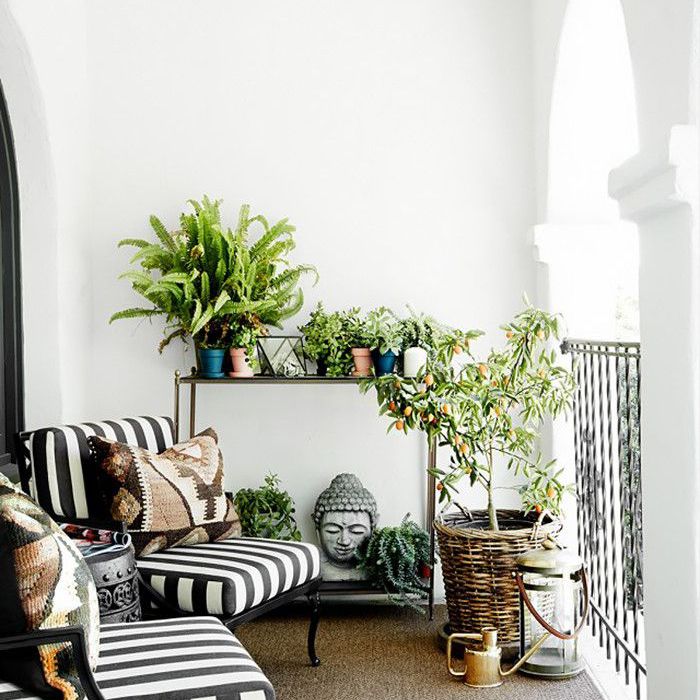 最佳奇勒姆枕头的七彩新年