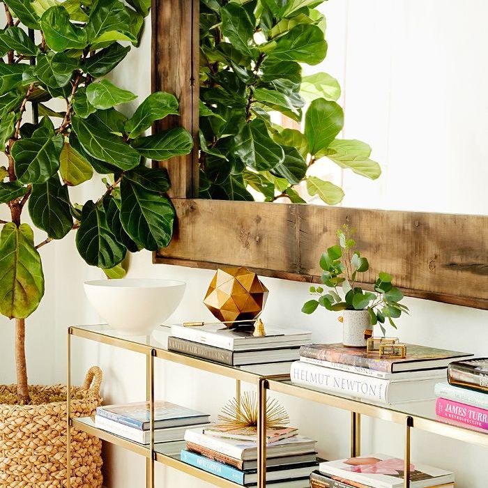 妮娜·杜波夫洛杉矶之旅