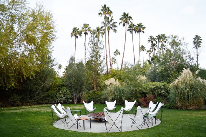 在棕榈泉，一群白色懒散的椅子被草地和棕榈树围绕着
