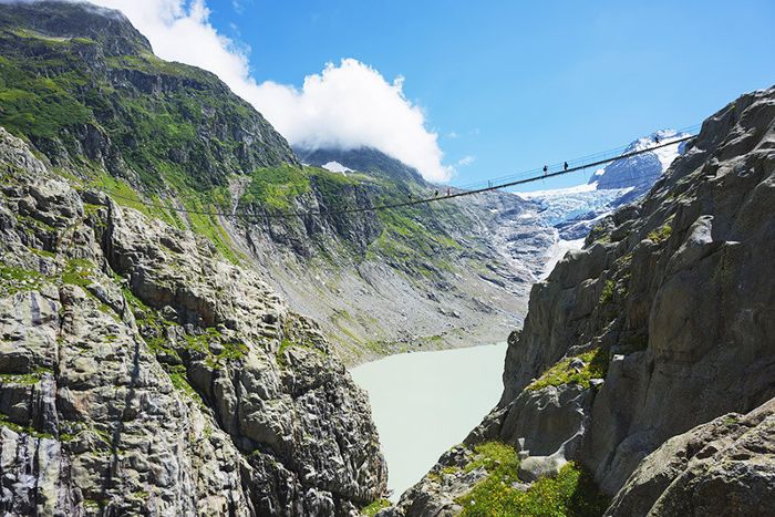 悬索桥上的冒险之旅