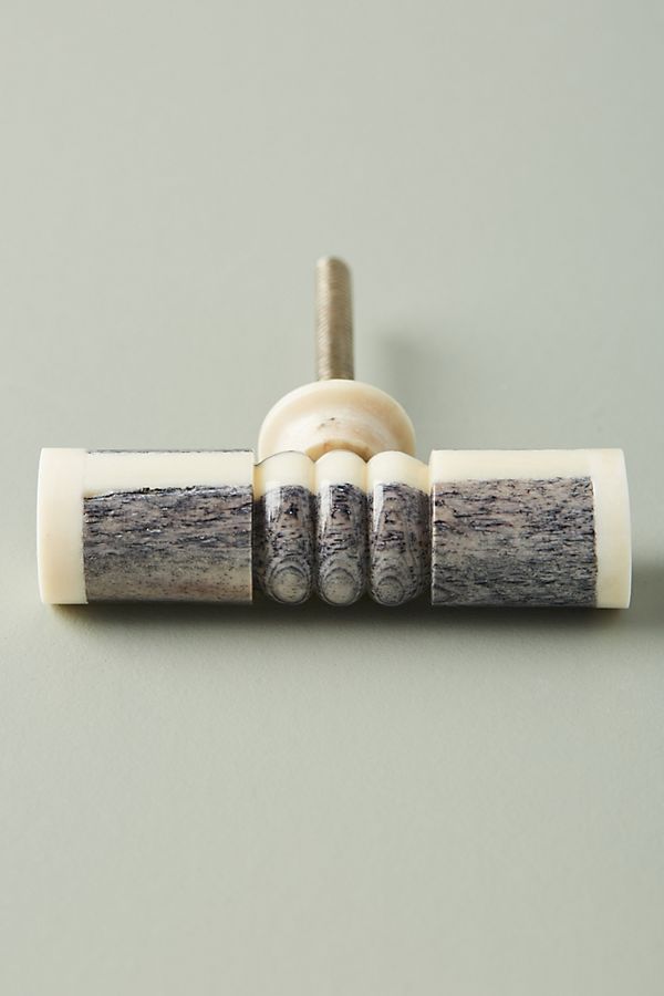 人类学罗娜旋钮