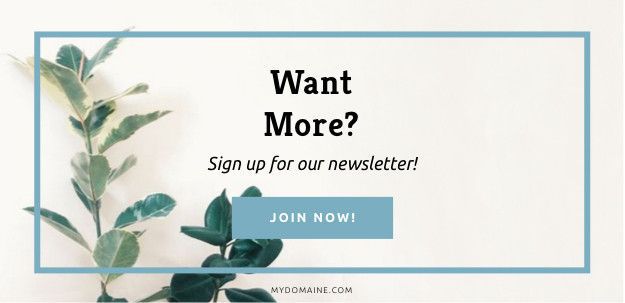 MyDomaine订阅电子报