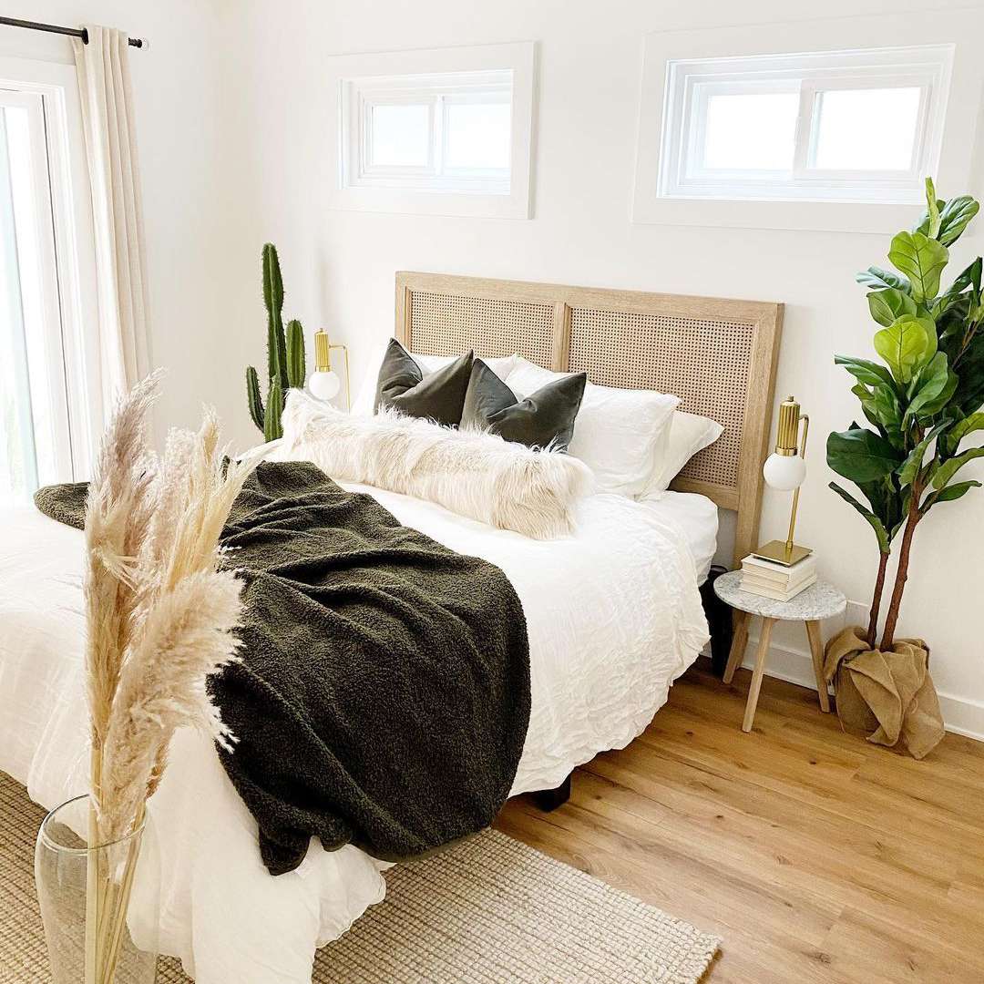 卧室有植物和绿色植物。