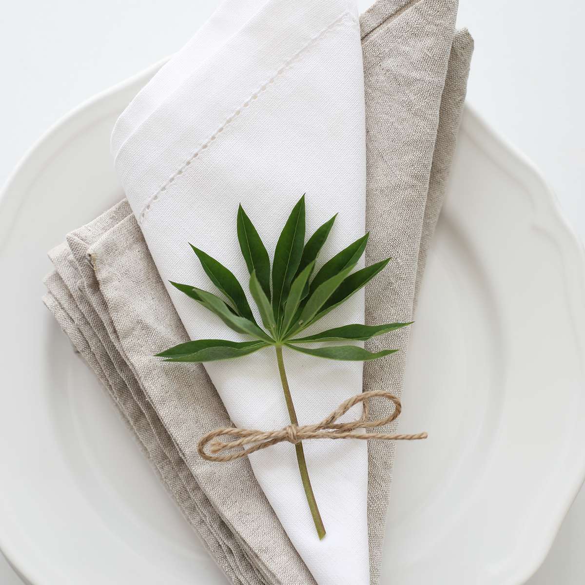 Trendenser博客装饰的地方设置