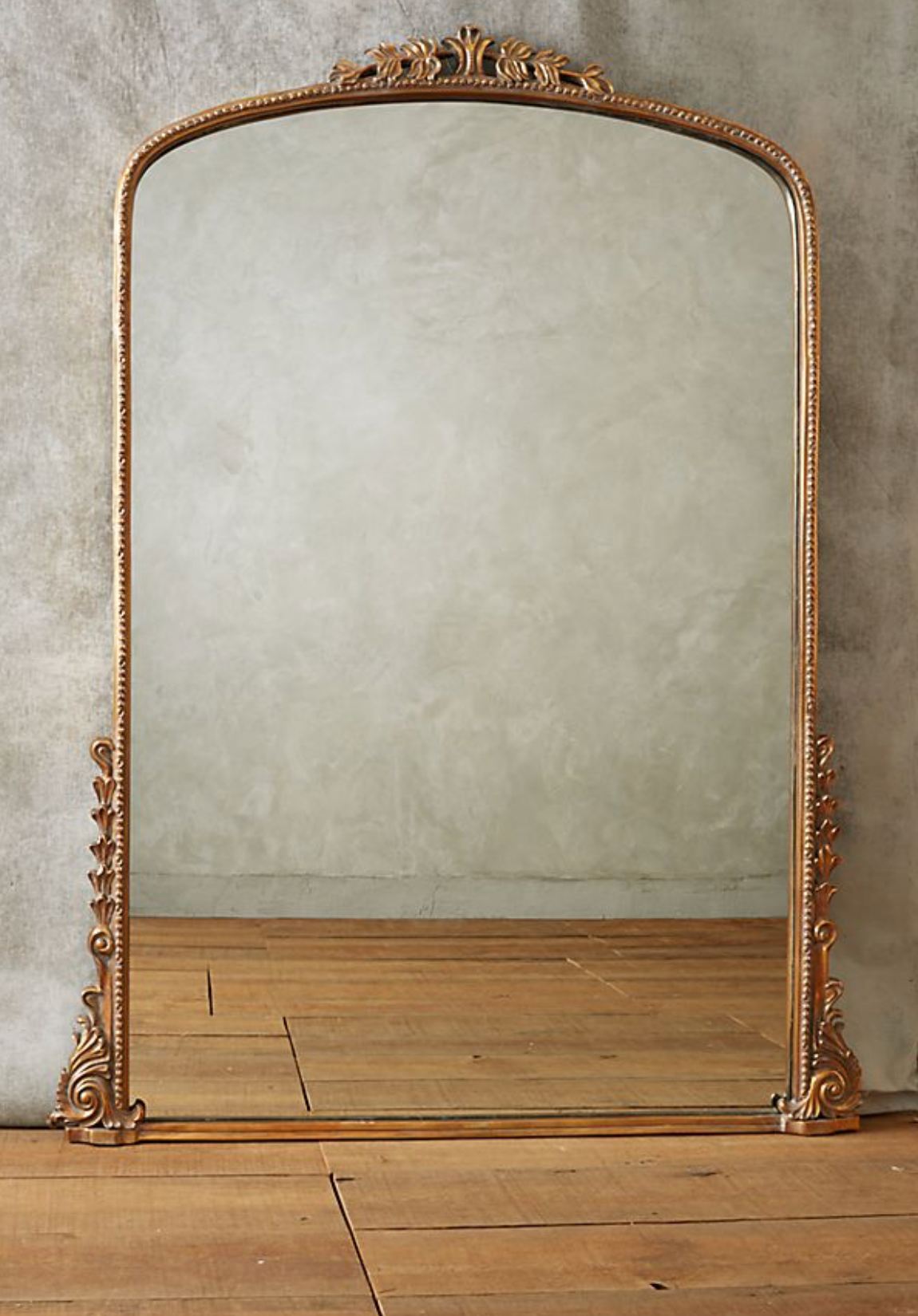 闪闪发光的镜面报春花