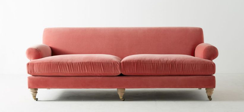 在开花粉红色天鹅绒的威洛比两颗垫沙发