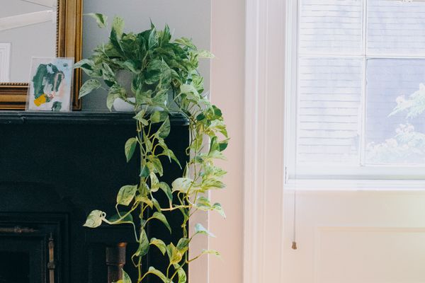 阿曼达·格里利家之旅 - 壁炉和客厅窗帘