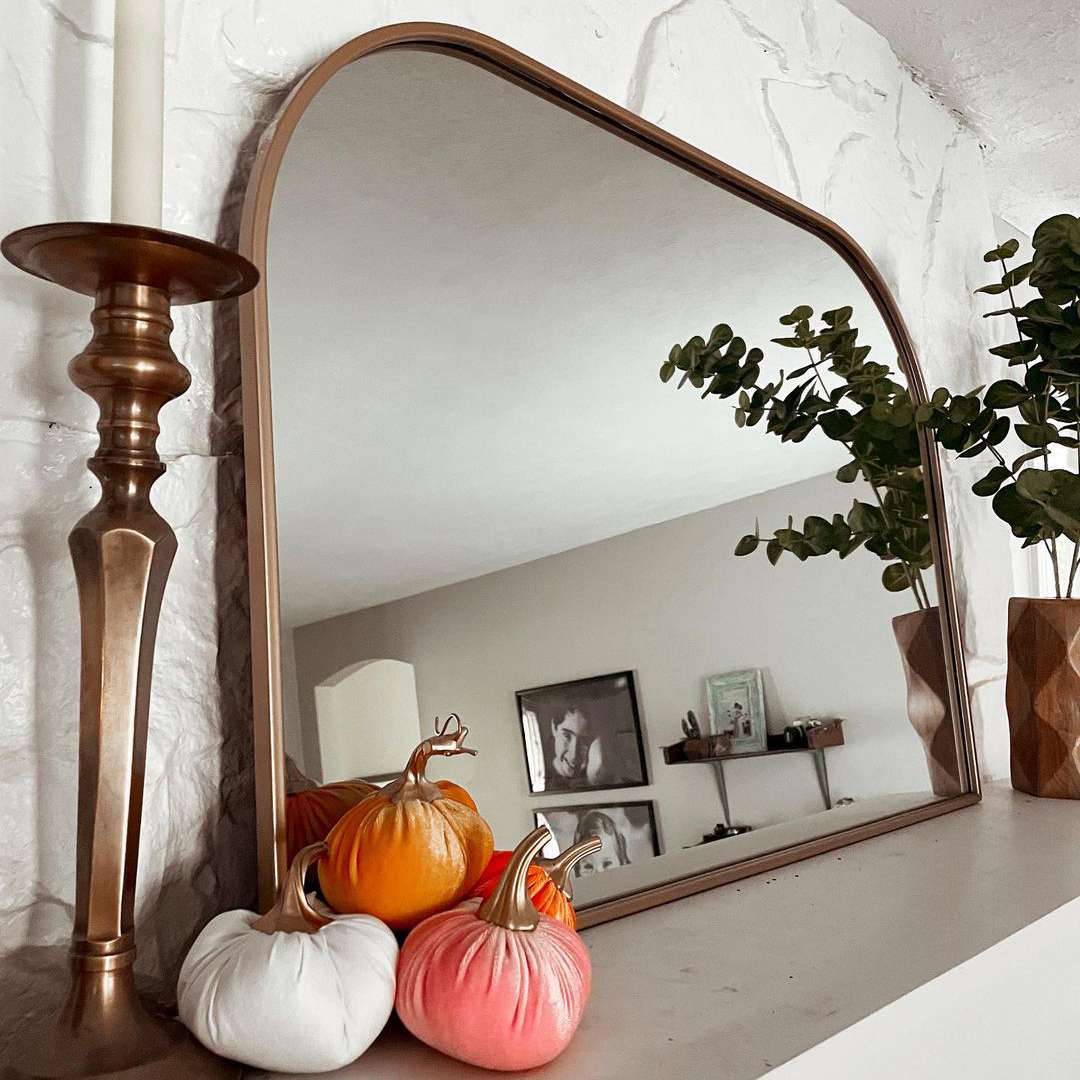 披着天鹅绒南瓜