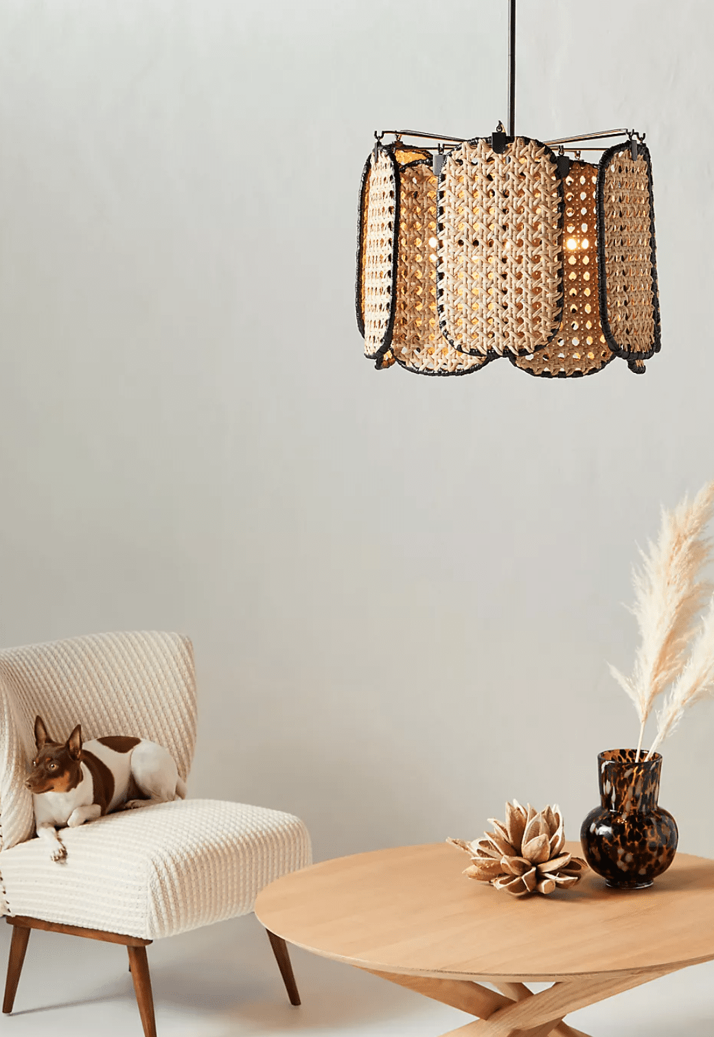 MidCantury现代藤吊灯，目前在伊斯塔洛洛尼省出售