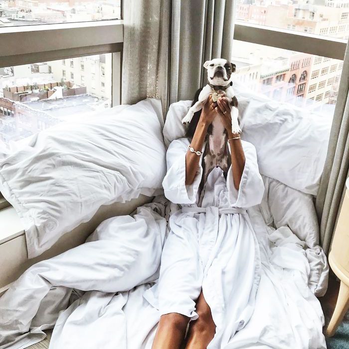 由于采用了一个搜救犬忠告