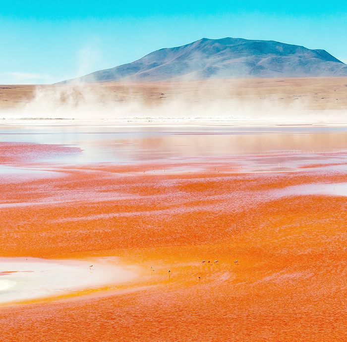 拉古纳Colorada、玻利维亚