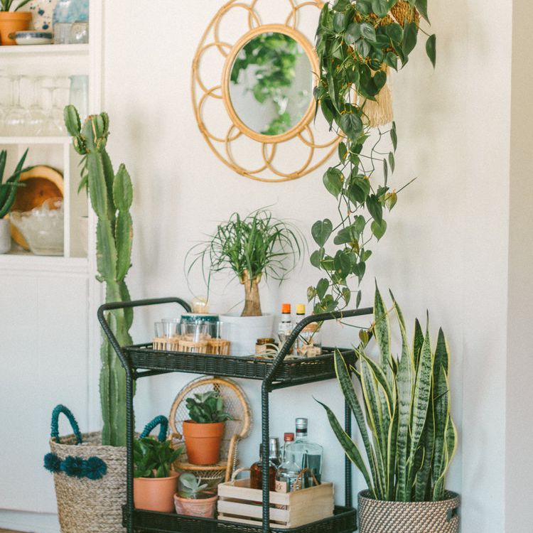 有植物的酒吧推车