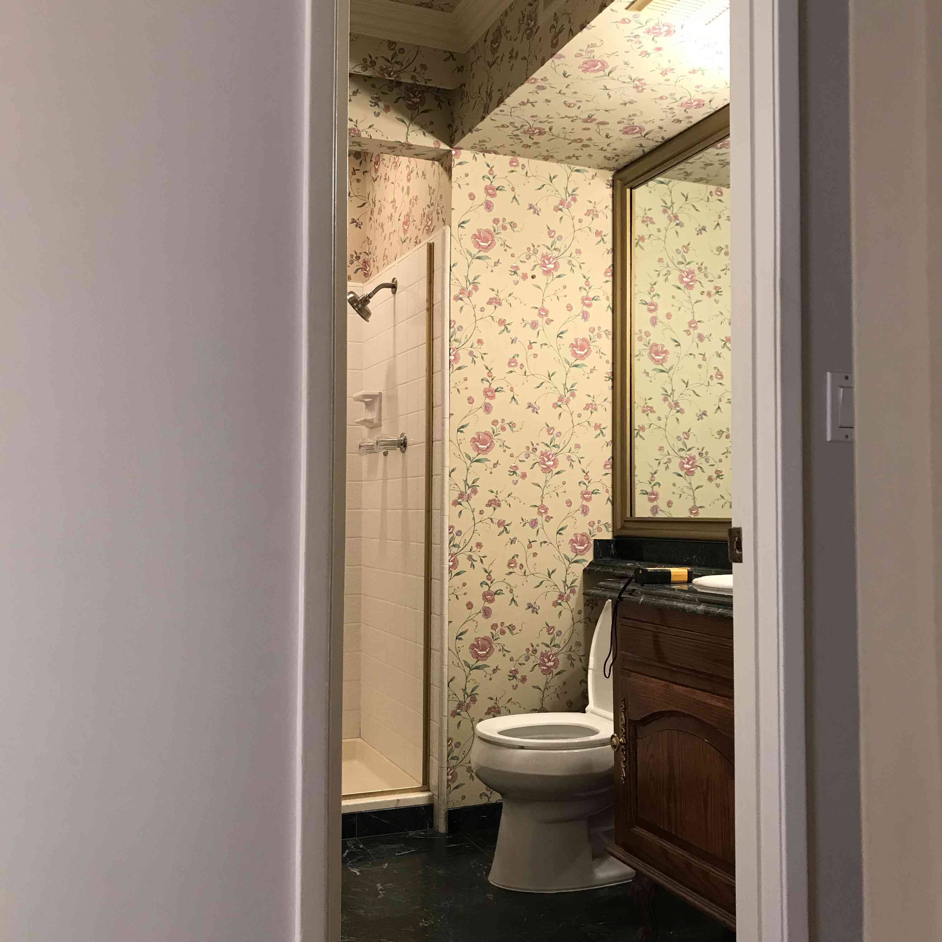 本周的改造 - 曼迪程浴室之前