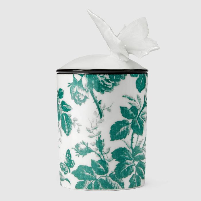 古姿中药材蝴蝶标本