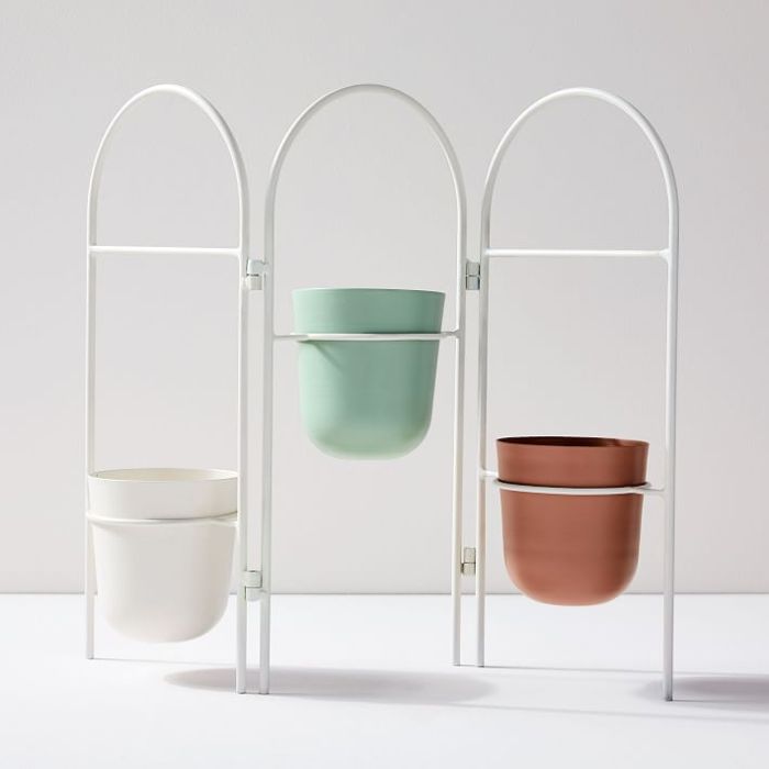 西榆门廊人大常委会种植