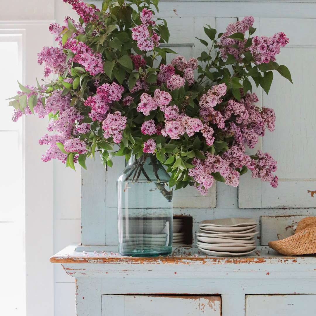 一个质朴的木柜，上面涂着一层剥落的淡蓝色油漆