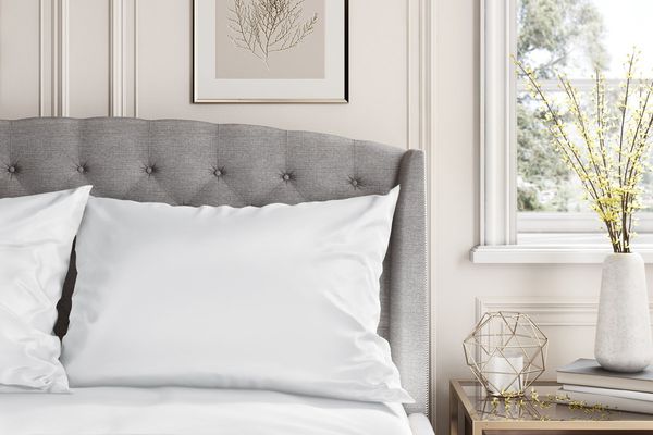 桑树公园丝绸床