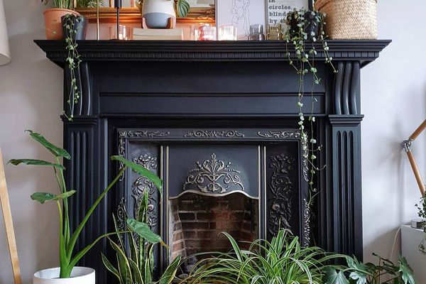 黑色植物壁炉