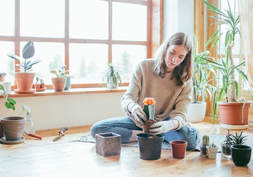 女人盆栽植物