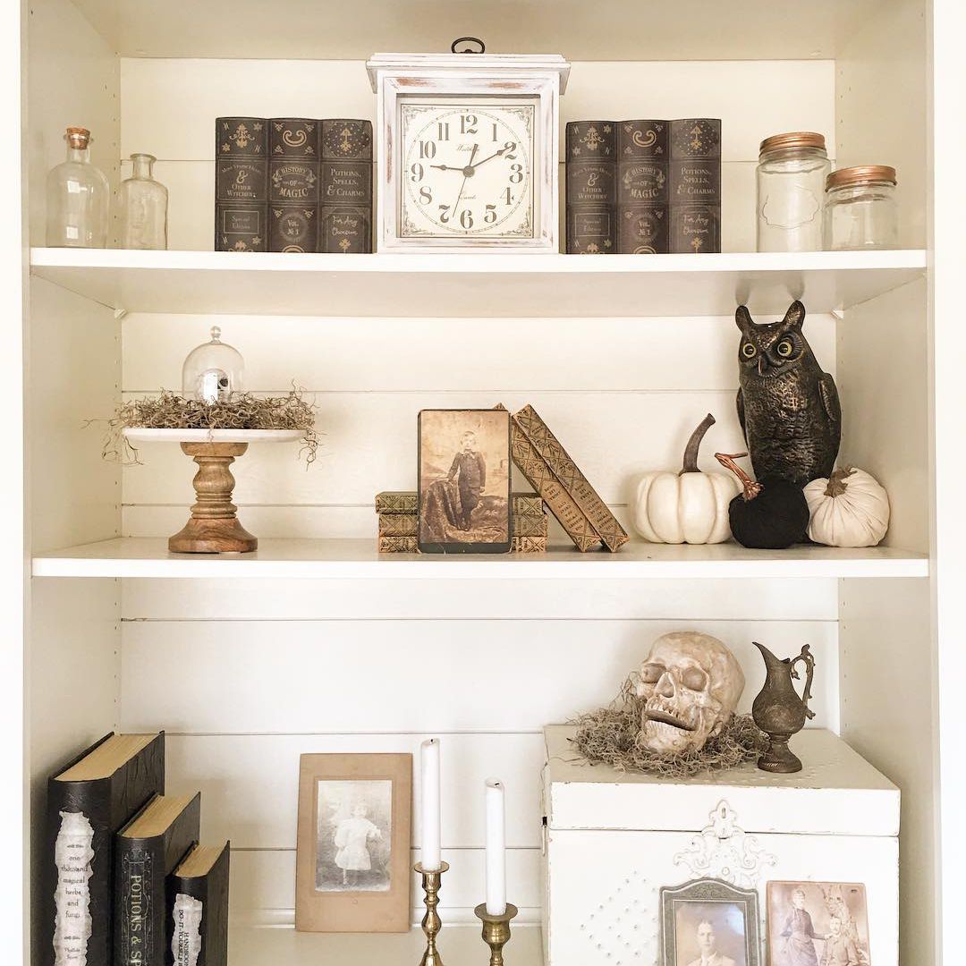 带头骨和猫头鹰的书架