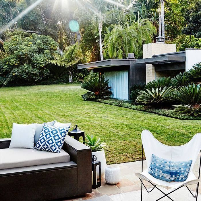 后院的草坪和庭院