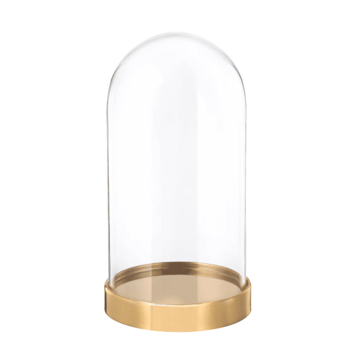 开始建造带底座的玻璃圆顶