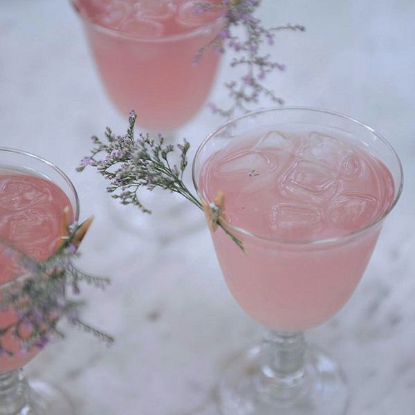 玫瑰香水君度菲斯