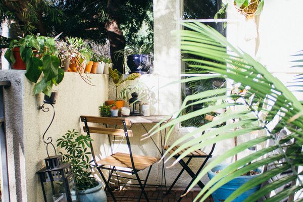 阳台草本花园，植物丰富