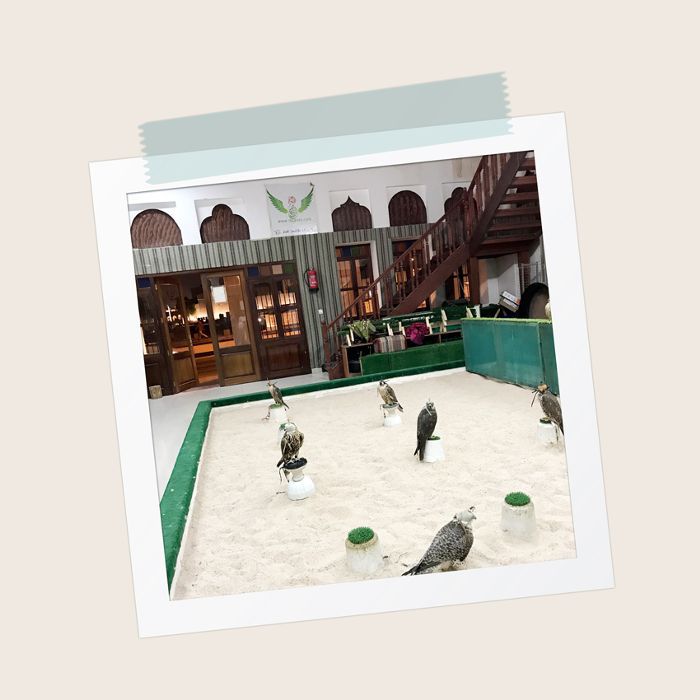 集市的Waqif卡塔尔多哈