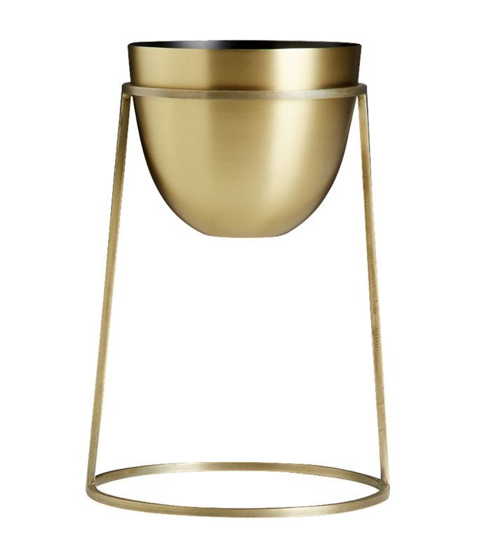 CB2米洛黄铜种植架