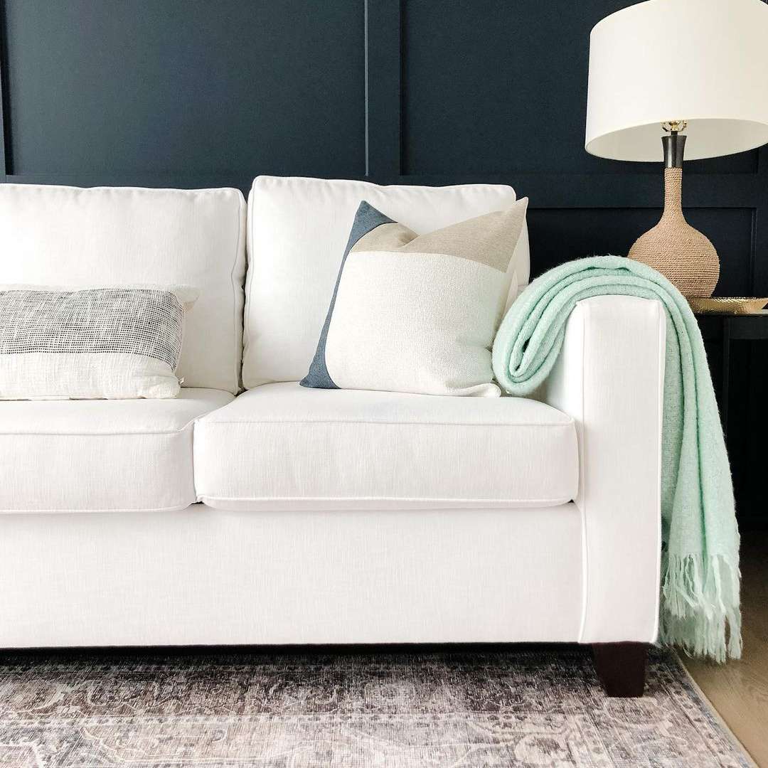 沙发与一个区域地毯