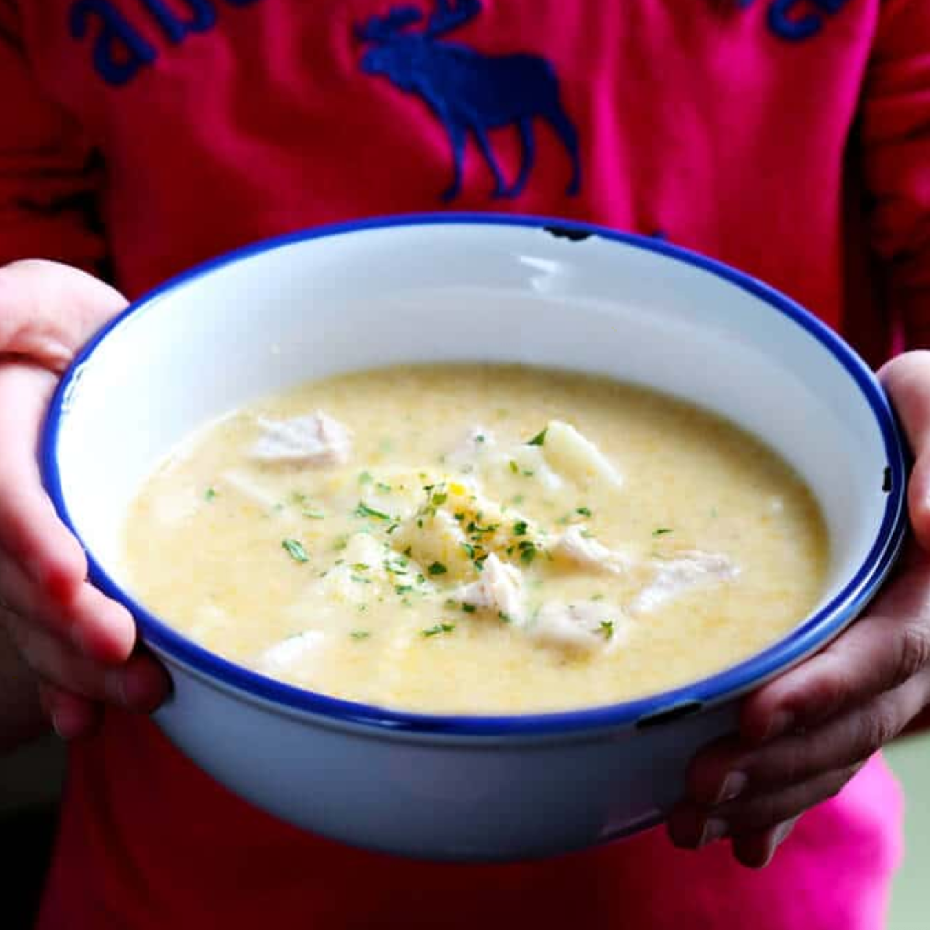 慢炖鸡肉和饺子