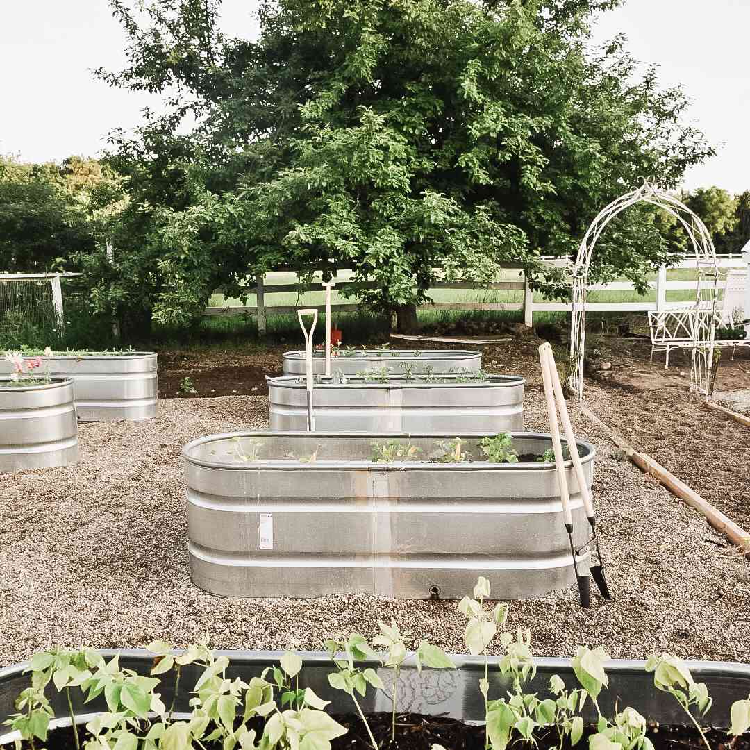 金属凸起花园床