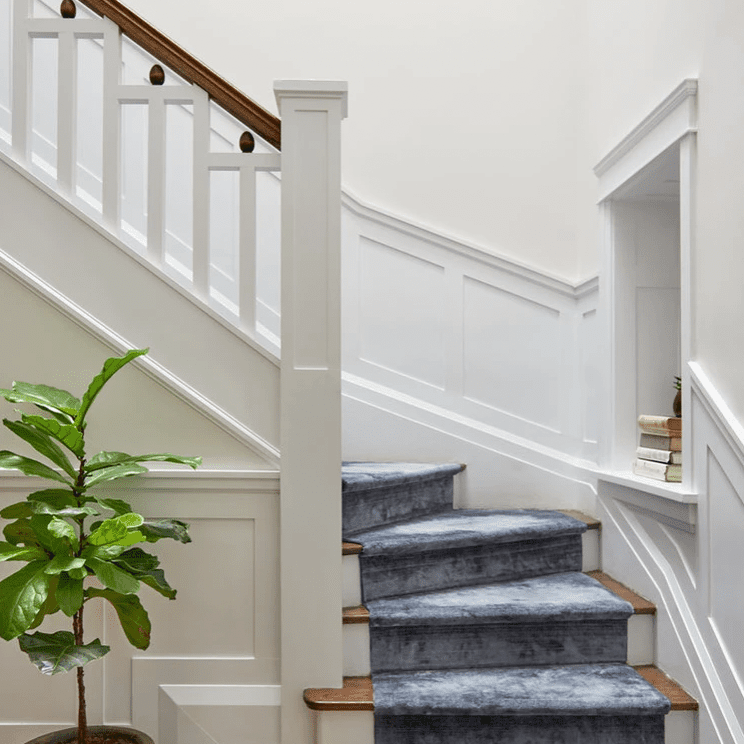 蓝色的地毯的楼梯