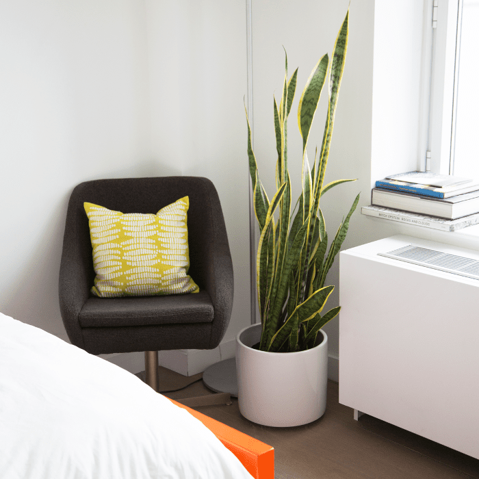 威廉斯堡公寓的观光椅和工厂