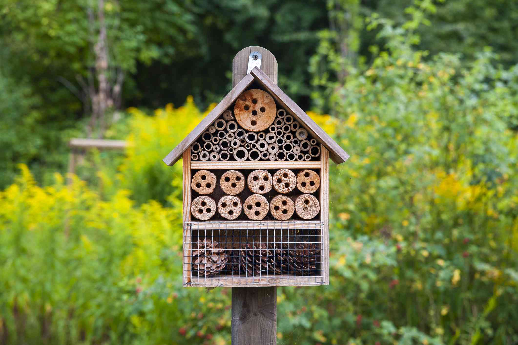 花园中的昆虫旅馆。