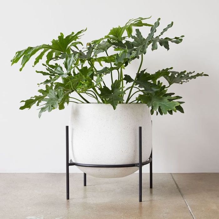 西榆层云大短人大常委会播种机