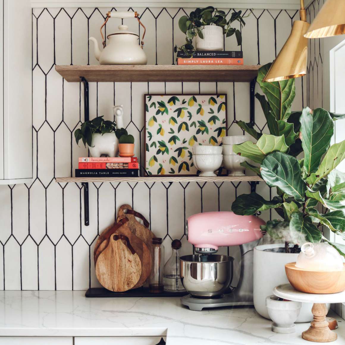 打开架子旁边的小提琴叶无花果。