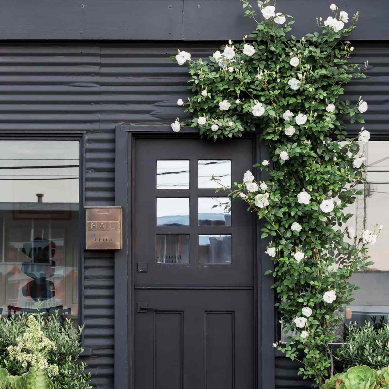 与玫瑰色灌木的黑外部门。