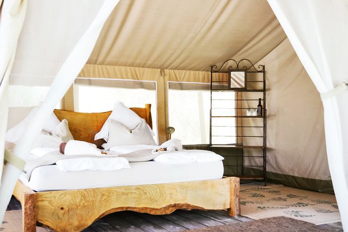 法国南部的野生动物园帐篷