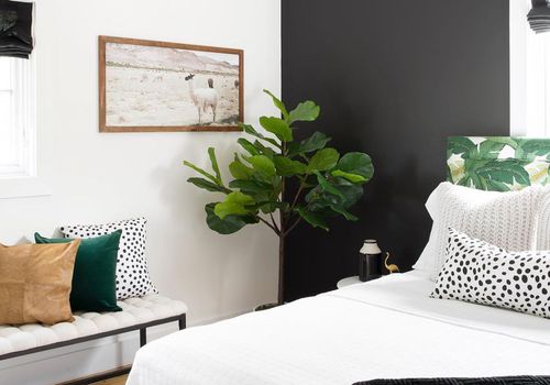 Black accent wall